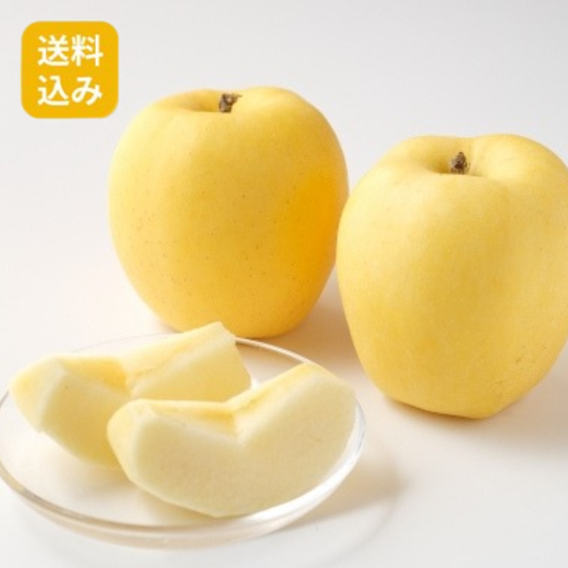 【送料込/数量限定】はるか