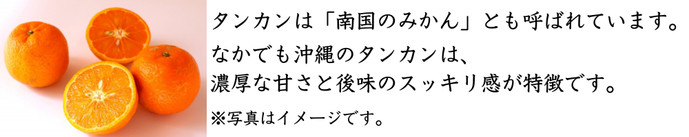 タンカン